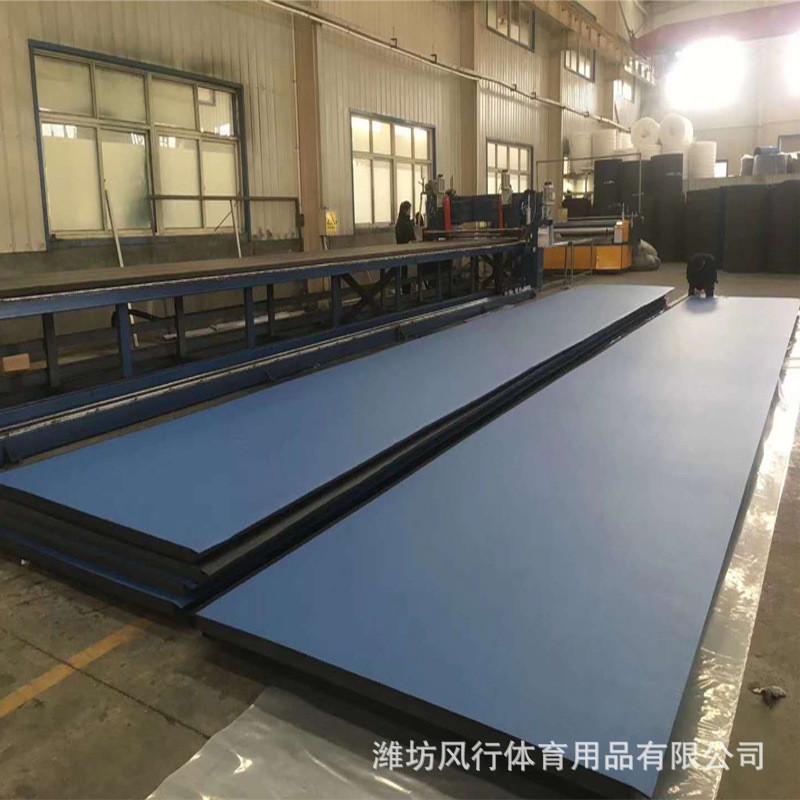 卷地垫多功能运动垫散打运动舞蹈体操摔跤垫跆拳道垫子卷帘地垫