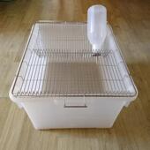 大鼠用品仓鼠基础笼Ss4大鼠饲养笼实验室设备豚鼠笼不锈钢面盖