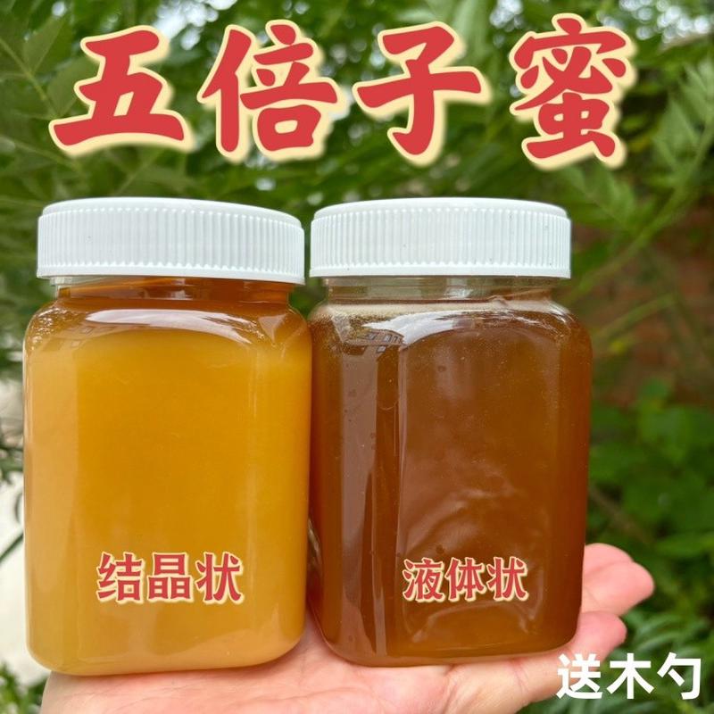 新鲜五倍子结晶蜂蜜天然封盖农家自产成熟蜜生蜜纯正五味子蜂蜜