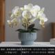 仿真花蝴蝶兰轻奢室内家居现代客厅餐厅装 饰花摆设电视柜假花摆件