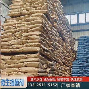 根结线虫微生物菌剂线虫复合菌淡紫青霉拟微生物菌剂威百亩无线