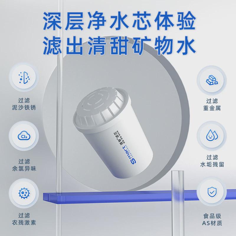 聚蓝净水壶理智滤芯过滤自来水壶滤芯三代直饮款净水器滤芯水中宝