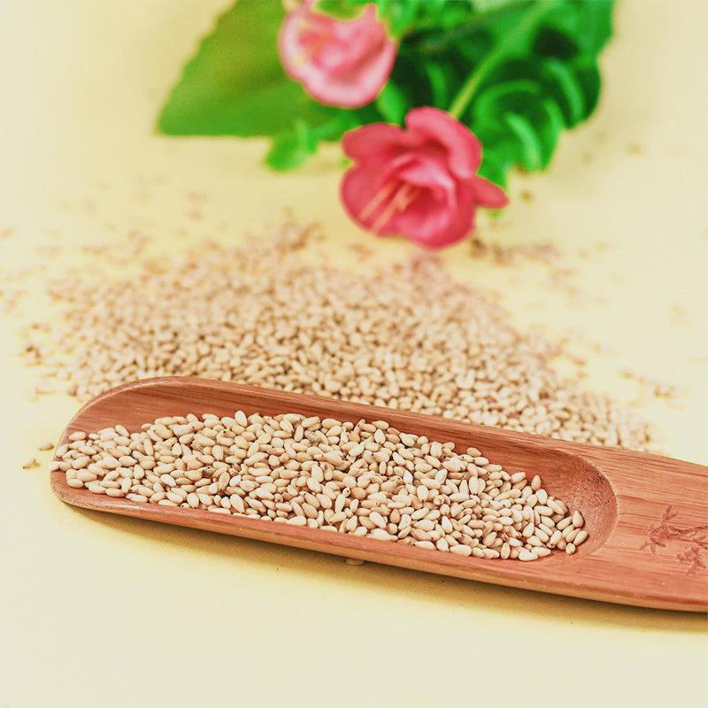 热销5斤炒熟白芝麻白芝麻现炒新货颗粒饱满干净无沙即食农家芝麻