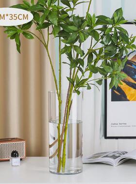 pc亚克力塑料花瓶摆件客厅插花富贵竹透明水培水养仿玻璃防摔器皿