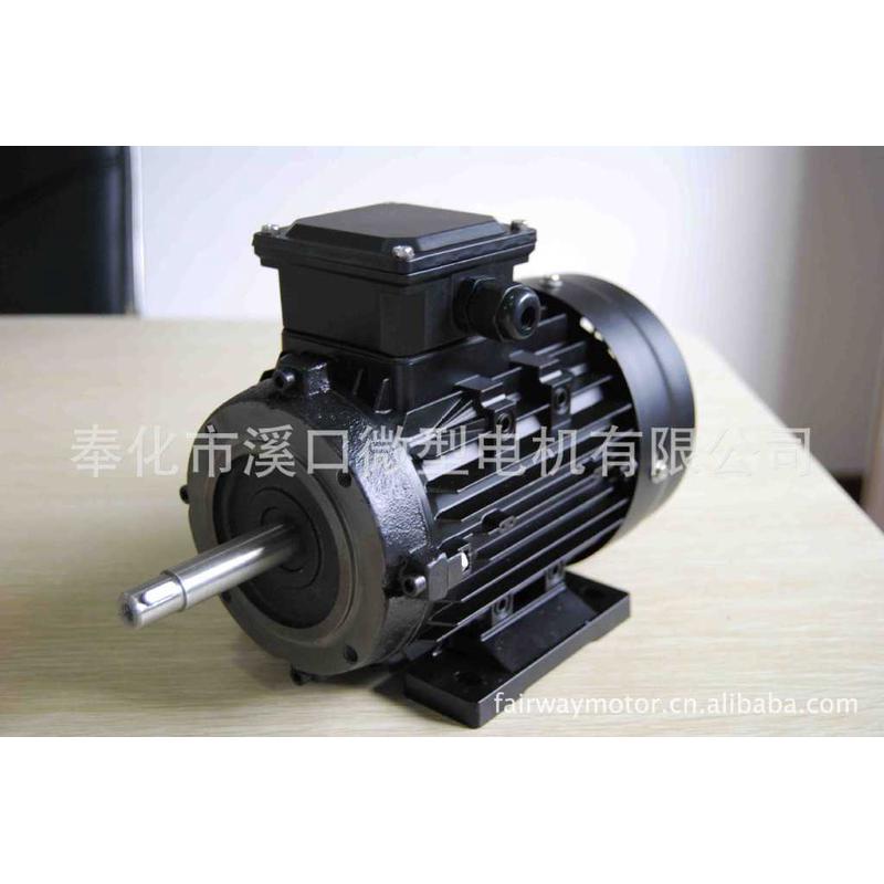 1.5w高温电机|配套模温机专用油泵川高温导热木/水泵