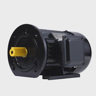 15kw1450rpm電機 三相異步電機2級能效YE4電動機1.5kw