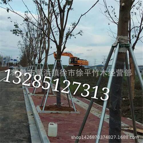 厂家供应树木支撑架钢管支撑架无铁环铁绿化铁支撑架