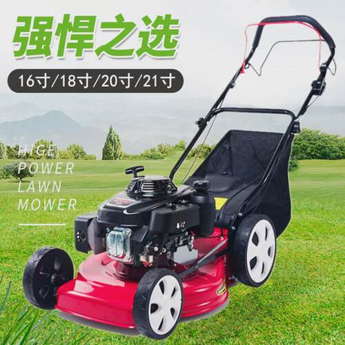 多车调节手推车式割草机种植草皮修剪机市政绿化自走式除草档