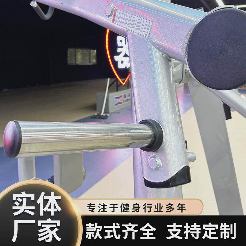 力背部高拉划船训练器锻炼建肌肉器械商用健身器材室内力量器械