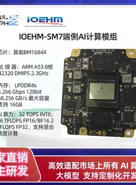 算能BM1684/X开发板边缘计算盒32T大模型私有化部署国产化SDK比特