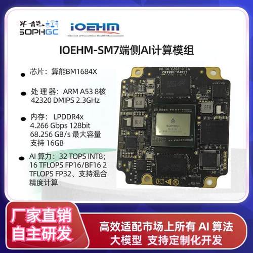 算能BM1684/X开发板边缘计算盒32T大模型私有化部署国产化SDK比特