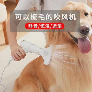 梳吹风梳猫咪拉毛梳狗狗吹毛机大风力除毛梳电动热风梳手持宠物