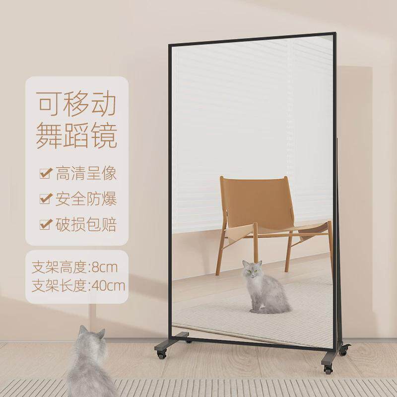可移动立式家用大镜子跳舞健身运动落地立体旋转滚轮金属全身镜