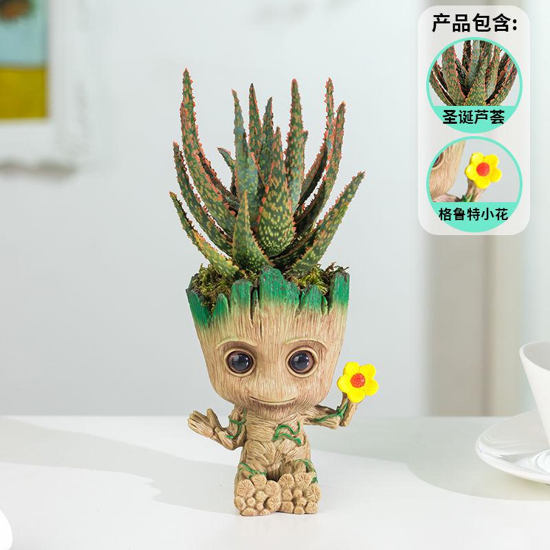 格鲁特鸟窝小花盆多肉植物仙人球仙人掌办公室桌面diy摆件好养活