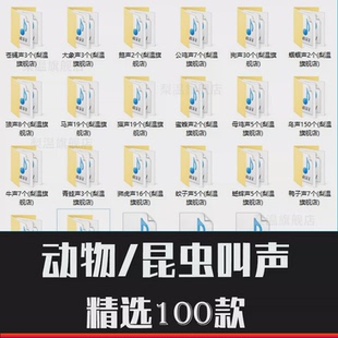 动物后期制作昆虫鸟猫狗猪马羊牛鸡鸭狼叫声影视家禽音效音频素材