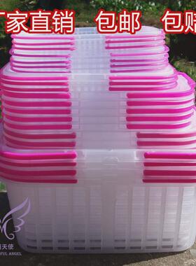 f7de新批发1-12斤批发料白色塑料手提水果篮草莓篮子樱桃杨梅葡萄