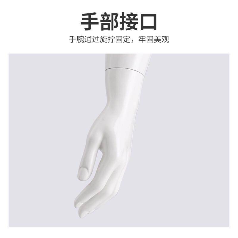 塑料模特服装店模特道具时尚女半身假人展示架玻璃橱窗模特架