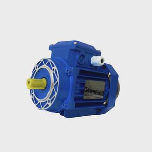 型號齊全0.25 ys系列鋁殼三相電機b3 b14 0.75kw