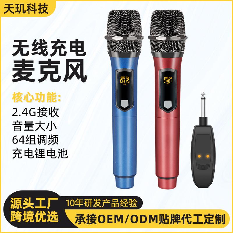 跨境2.4G无线麦克风一拖二舞台家用ktv户外音响会议演出充电话筒