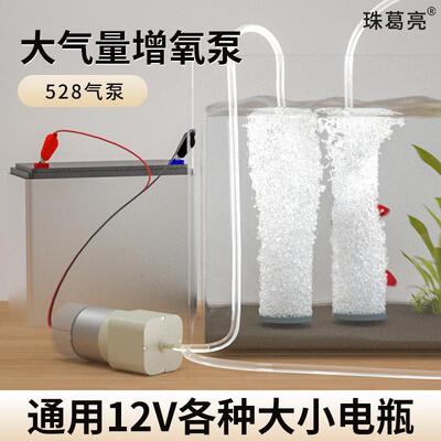 12V打氧机小型卖鱼专用车载增氧气泵直流电瓶充氧机养鱼户外静音