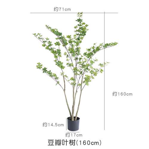 新款马醉木装饰树仿真绿植造景搭配室内软装店面门头摆件树