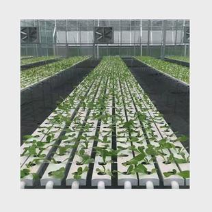 无土栽培研学基地规划农业园林种植设备农耕体验各种栽培种植槽