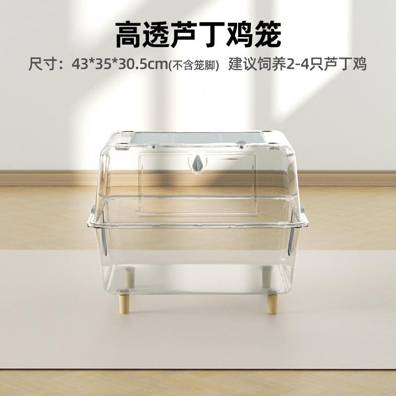 芦丁鸡室内笼子大号亚克力透明观赏卢丁饲养箱保温全套造景专用品