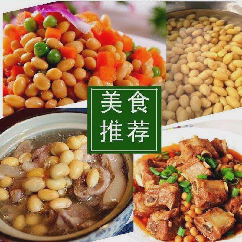 农家自种笨椭圆黄豆500g土大豆长粒肾型酱豆豆浆原料老品种可发芽