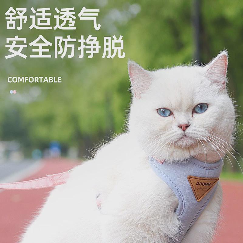宠物猫牵引绳时尚双拼帅气栓猫链幼猫可调节卡扣外出防挣脱专用绳