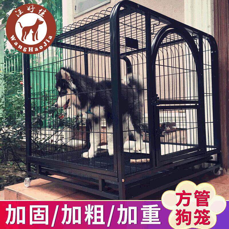 狗笼加粗金毛拉布拉多大型犬中型犬萨摩耶宠物笼子狗笼子大型狗笼