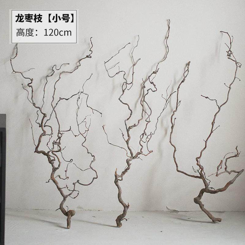 龙枣枝天然弯曲树枝中式花艺宠物爬藤造景插花装饰干树枝客厅落地,鲜花速递/花卉仿真/绿植园艺,仿真绿植,淘宝优惠券,粉丝福利购,淘宝优惠卷