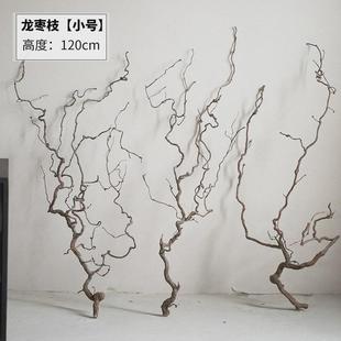 龙天然枝枣弯曲树枝中式 饰干树枝客厅落地 花艺宠物爬藤造景插花装
