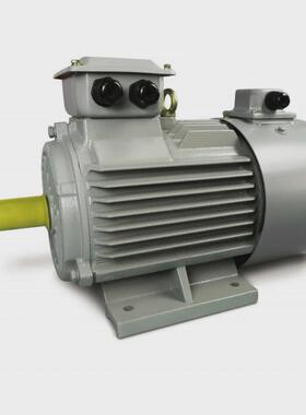 现货华滨电机yx3/ye3-90s-2-1.5kwie3能效三项异步电机上海