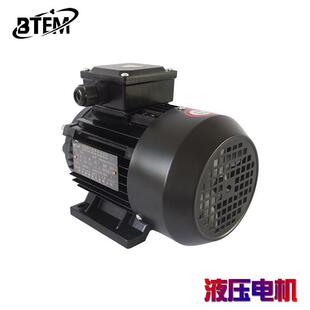 纯铜线叶片泵TOP油泵内插马达齿轮泵内轴式 铝壳液压三相异步