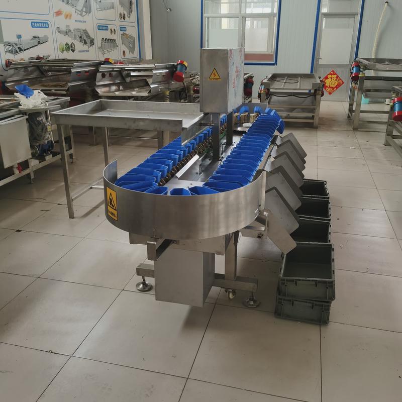 重量分选机多级别自动鱼水果分拣机连续式鸡鸭称重分选设备厂家