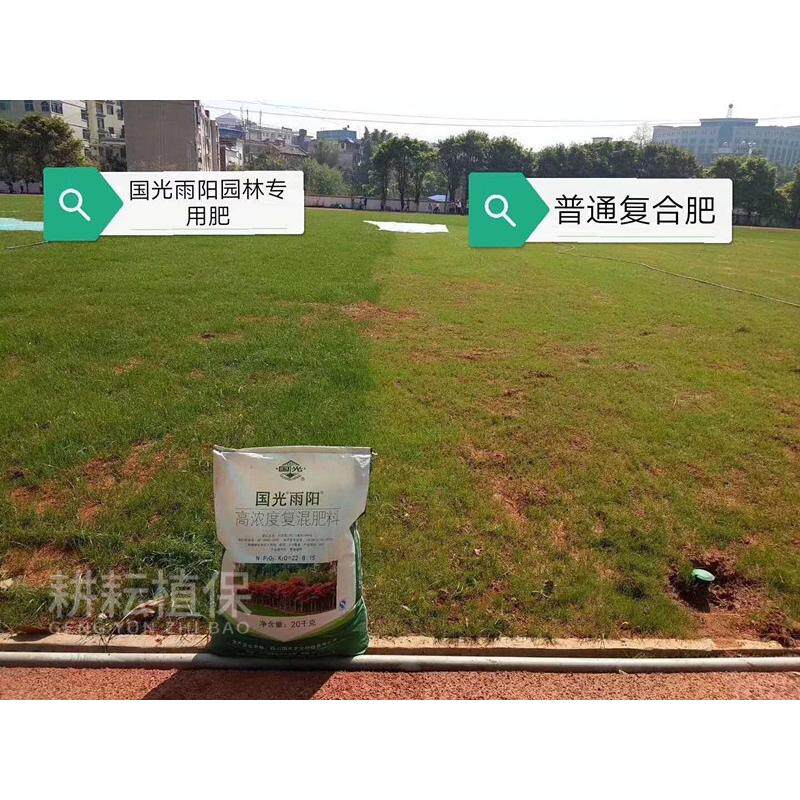 国光雨阳肥高浓度肥料草坪园林苗木灌木绿化专用高端通用复合肥