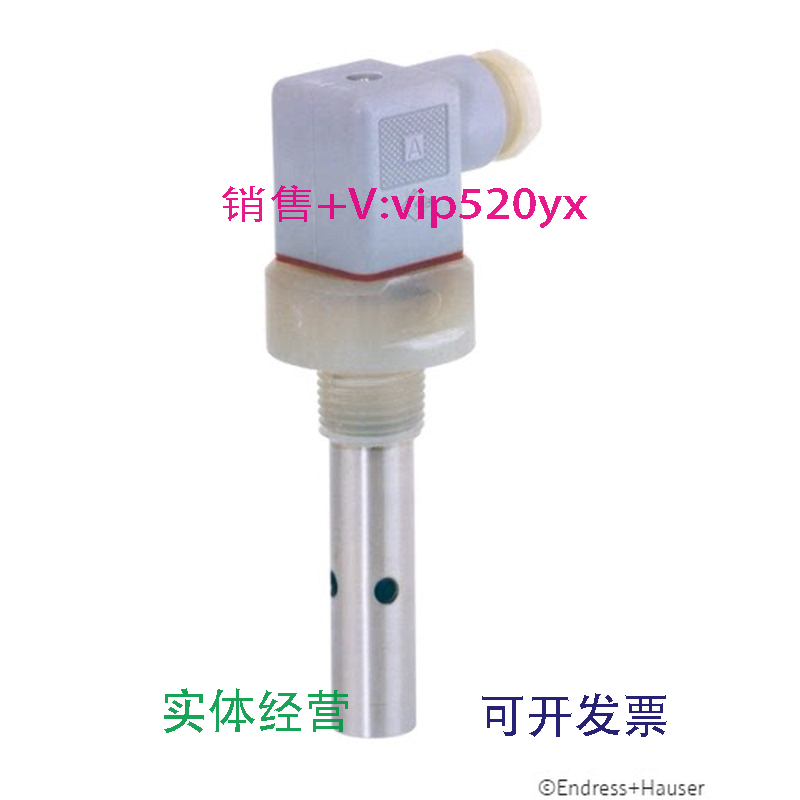 现货供应E+H模拟式电导率传感器CLS19-A1A1A/电极电导率探头现货