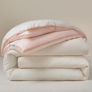 棉被子母被二合一拉链款被子冬被加厚保暖新款双胞胎字母被芯