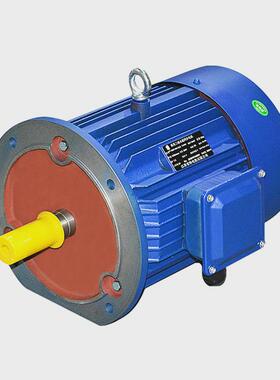 直流电机直流无刷电机永磁直流噪音低200w48v高功率无刷电机