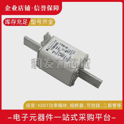 170m3558/3559/3560/3561/3562/3563-3566-3568/3569/-3573熔断器