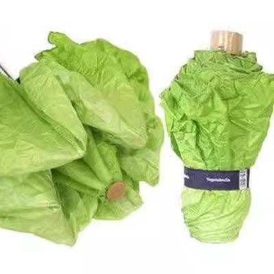 独特生菜雨伞 遇水生财 雨天里的亮点 时尚个性有趣实用与众不同