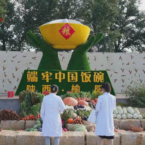 绿雕厂家大型仿真绿雕工艺品国庆主题绿雕造型广场立体花坛景观