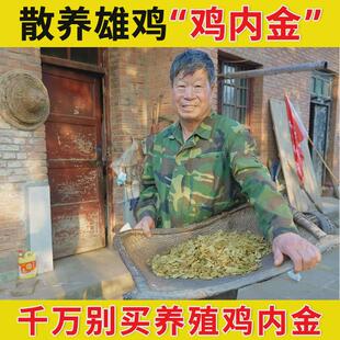 散养雄鸡内金片250g炒熟土鸡内金粉生鸡胗皮儿童搭山楂白术泡水