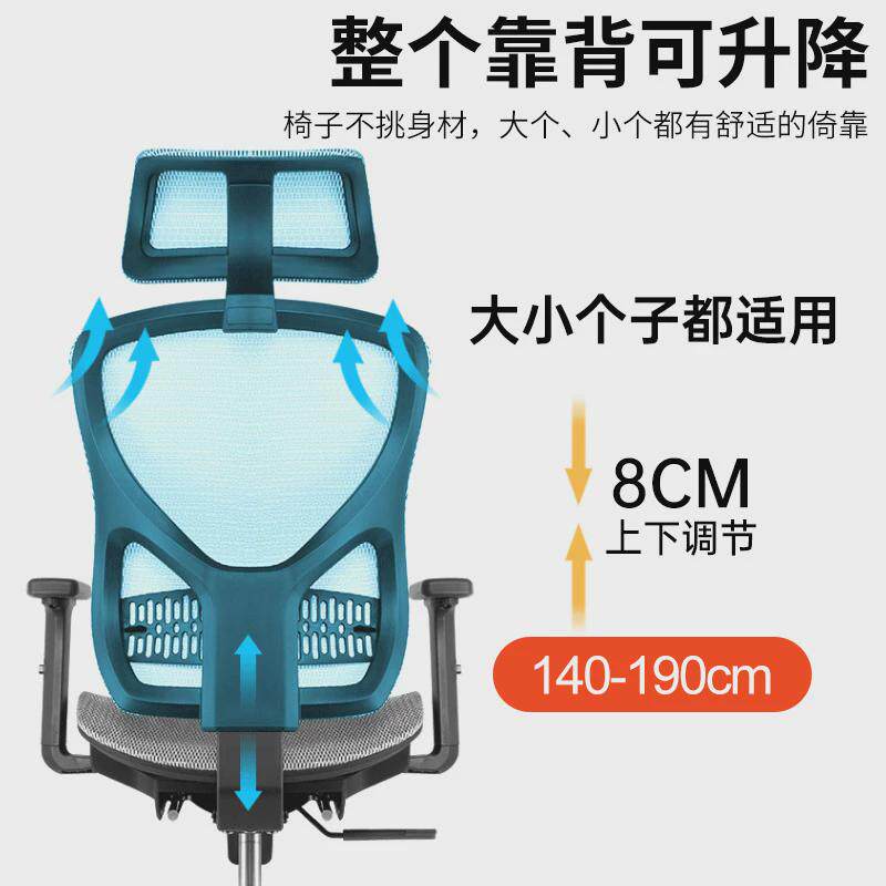 典律人体工学椅不累久坐升降靠背舒脊护腰电脑椅学习椅家具办公椅