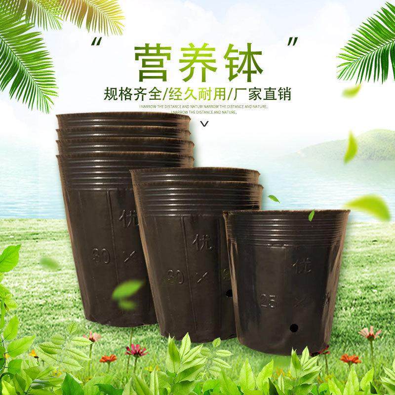 供应育苗盆塑料育苗营养杯花卉育苗杯营养钵塑料育苗袋黑色可定制,鲜花速递/花卉仿真/绿植园艺,花盆,淘宝优惠券,粉丝福利购,淘宝优惠卷