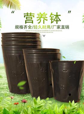 可黑色塑料育苗营养杯花卉育苗杯营养钵塑料育苗袋育苗盆供应定制