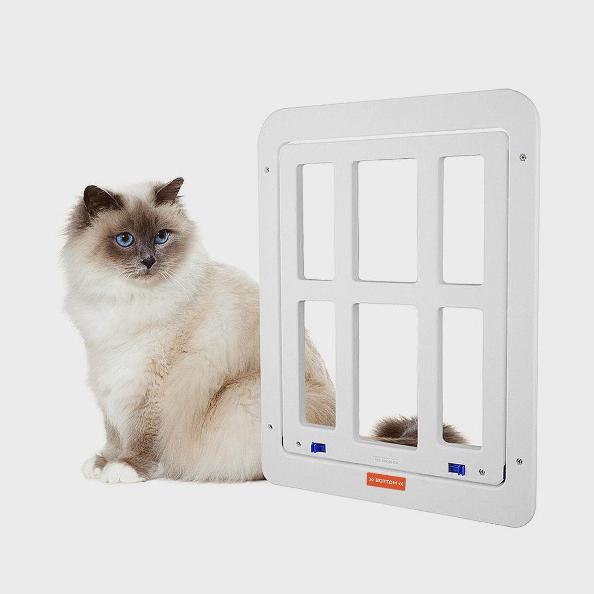 宠物用品新款纱门猫门洞狗纱窗门自由进出入格子宠物门猫咪用品批