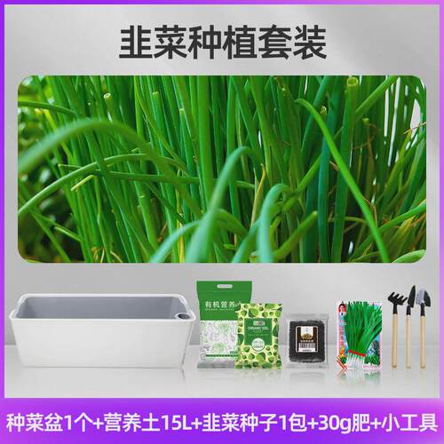 种菜专用箱土院子楼顶室内种花阳台种菜特大家用种植菜箱庭院家庭