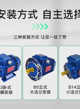 宝戈玛电机BM方型三相异步铝壳马达0.25-7.5kw4P立式小法兰