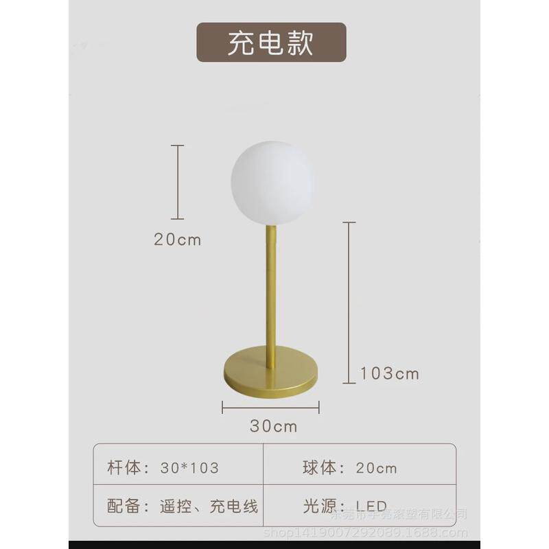 led落地圆球灯客厅沙发极简ins风卧室酒店床头台灯别墅装饰落地灯